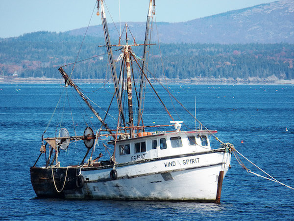 bateau pilote